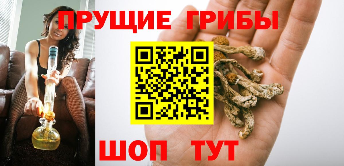 Геленджик  Галлюциногенные грибы Magic Shrooms  Галлюциногенные грибы Psilocybine cubensis  Вход с VPN 