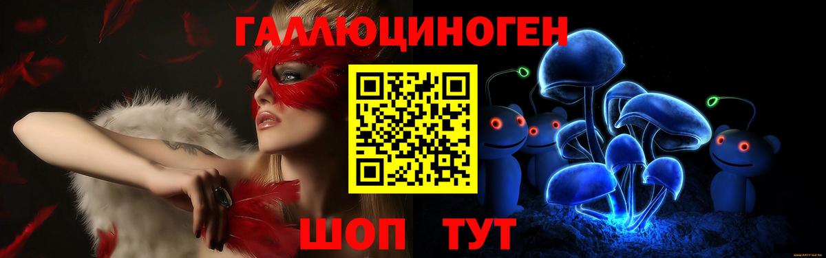 Галлюциногенные грибы Psilocybe Геленджик